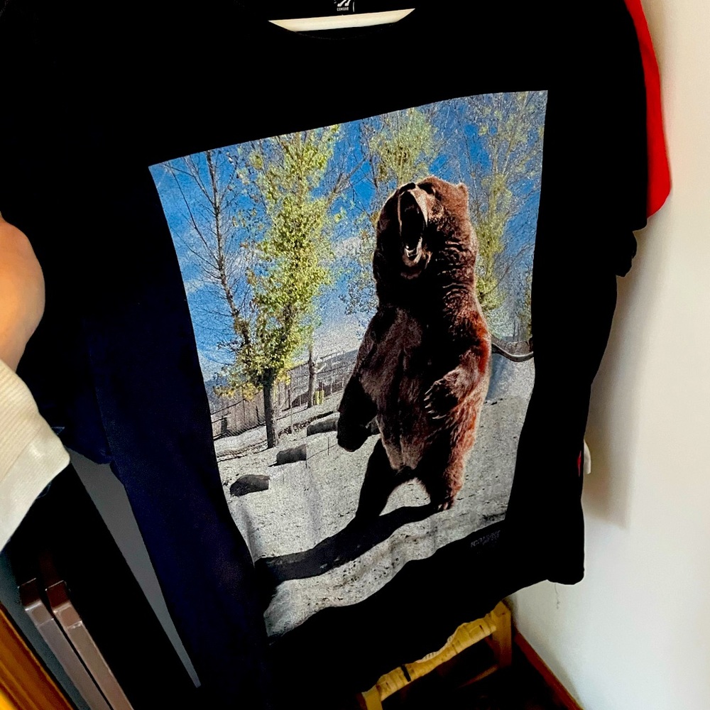 Grizzly Bear shirt